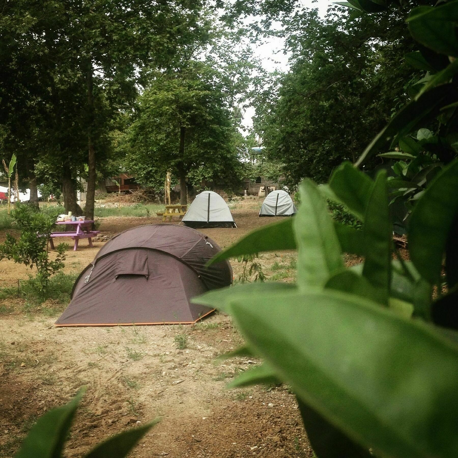 Bellerofon Caravan & Camping Çıralı المظهر الخارجي الصورة